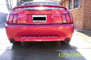 Mustang (7).jpg
